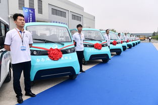 淮安博德專用汽車首批25輛觀光車交付